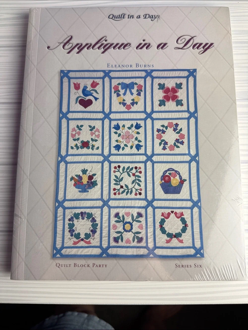 Vintage Eleanor Burns Applique in a Day Quilt Block Party Series 6 Patterns 1994